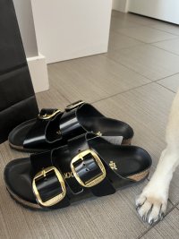 IMG_0120.jpeg