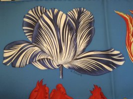 IMG_20230411_113336.jpg