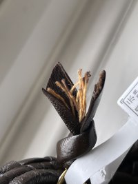 IMG_6807.jpeg