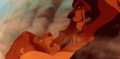 1765B5D9-599F-4CCF-BBF6-C49C4C5C9A6D.gif