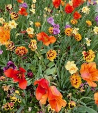 IMG_9514.jpeg