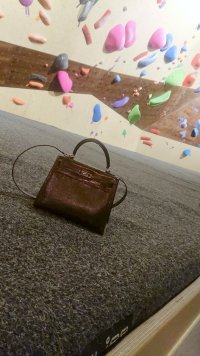 IMG_3444.jpeg