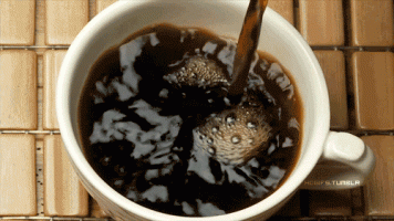 CD396120-9427-400D-82EF-1D88FD0A8A06.gif