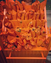 7F68727A-C21D-46A0-95A1-C63A169D11FF.jpeg
