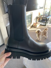 IMG_2669.jpeg