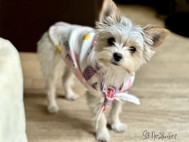 IMG_1626.jpeg