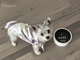 IMG_1630.jpeg