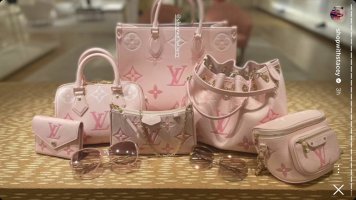 Louis Vuitton Wapity Case - PurseBlog