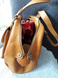MulberryYlw3.jpg