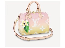 handbags-louis-vuitton.jpg