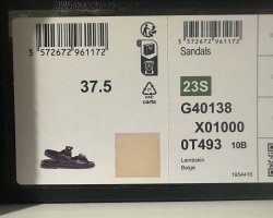 IMG_3262.jpeg