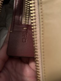 IMG_6729.jpeg