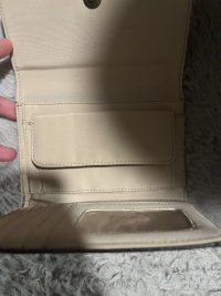 IMG_6966.jpeg