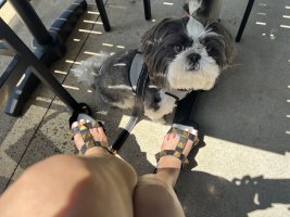 IMG_8662.jpeg