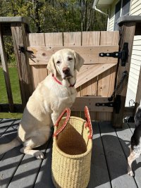 IMG_5260.jpeg