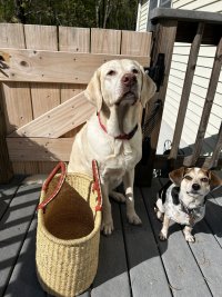IMG_5261.jpeg