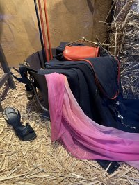 IMG_0459.jpeg
