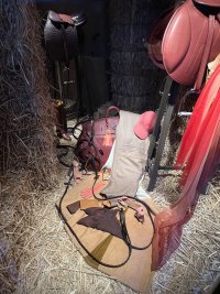 IMG_0466.jpeg