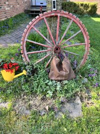 IMG_7123.jpeg