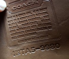 IMG_5547.jpeg