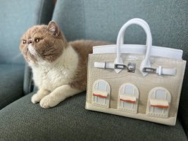 IMG_6251.jpeg