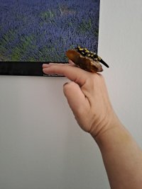20230514_112304.jpg