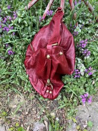 IMG_7512.jpeg