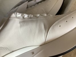 IMG_2378.jpeg