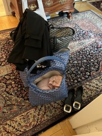 IMG_8072.jpeg