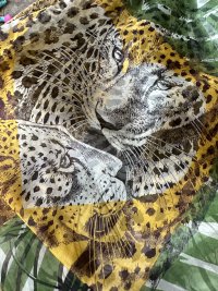IMG_1729.jpeg