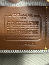 IMG_6903.jpeg