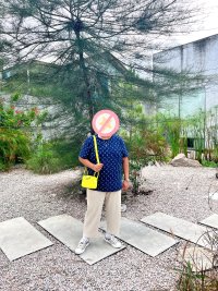 IMG_9668.jpeg