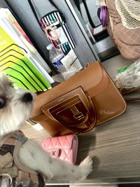 IMG_2089.jpeg