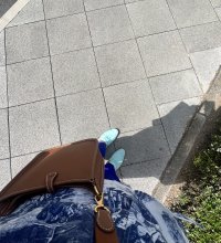 IMG_8756.jpeg