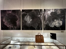 IMG_9617.jpeg