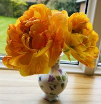 IMG_2283.jpeg