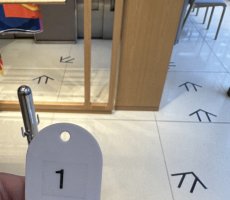 IMG_5101.jpeg