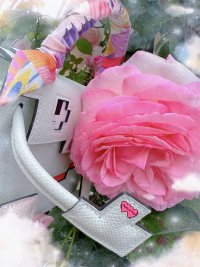 IMG_0601.jpeg