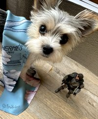 IMG_2190.jpeg