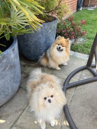 IMG_2859.jpeg