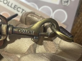 IMG_8694.jpeg