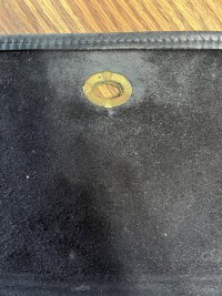 IMG_8319.jpeg