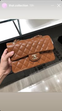 IMG_2084.jpeg