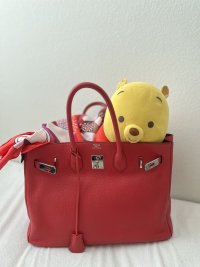 IMG_0486.jpeg