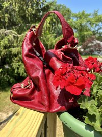 IMG_0471.jpeg
