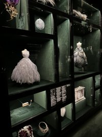 IMG_8670.jpeg