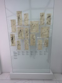 IMG_8655.jpeg