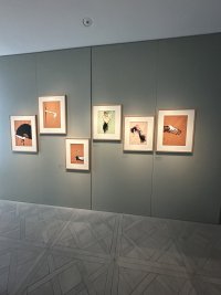 IMG_8651.jpeg