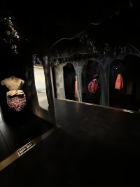 IMG_8637.jpeg