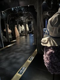 IMG_8639.jpeg
